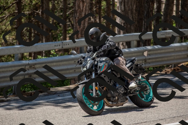 202506281307-DSC_5608_c4_