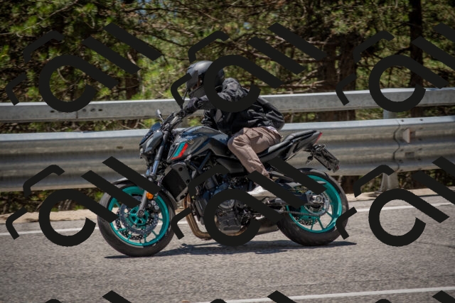 202506281307-DSC_5609_c4_