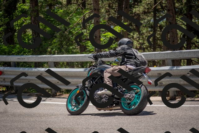 202506281307-DSC_5611_c4_