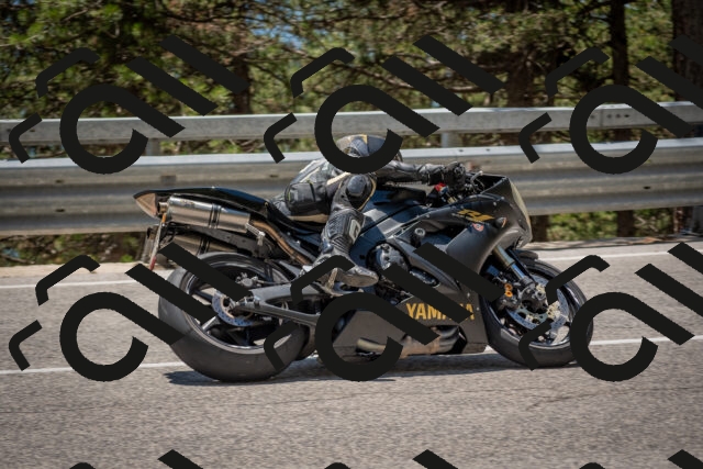 202506281309-DSC_5613_c4_