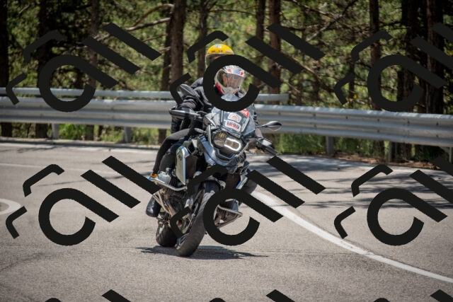 202506281310-DSC_5620_c4_