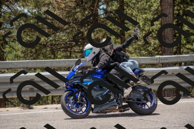 202506281312-DSC_5629_c4_