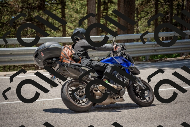 202506281313-DSC_5638_c4_