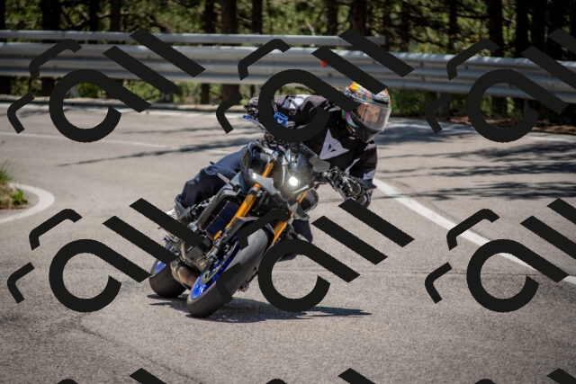 202506281314-DSC_5648_c4_