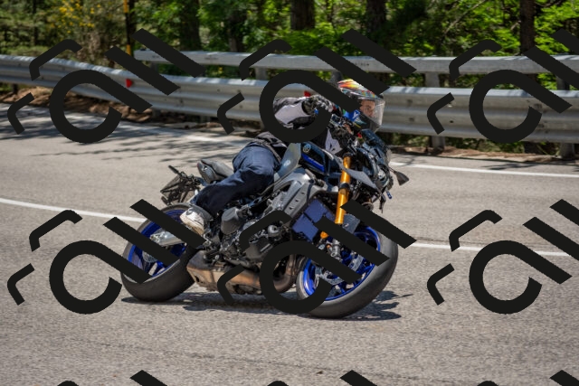 202506281314-DSC_5649_c4_