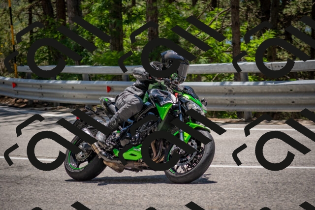 202506281315-DSC_5654_c4_