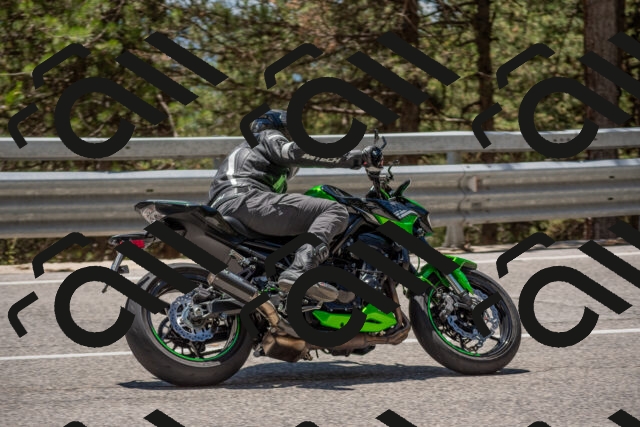 202506281315-DSC_5655_c4_