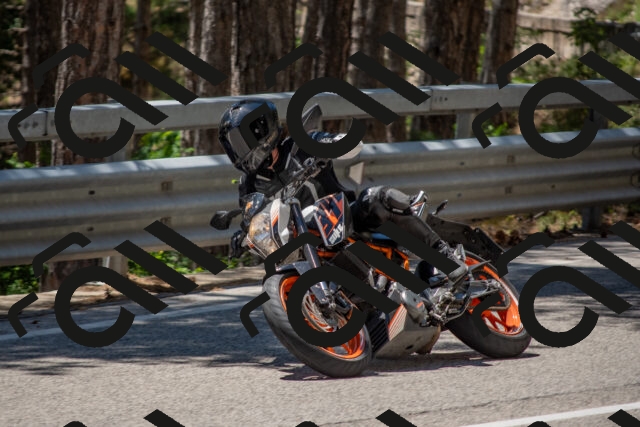 202506281317-DSC_5659_c4_