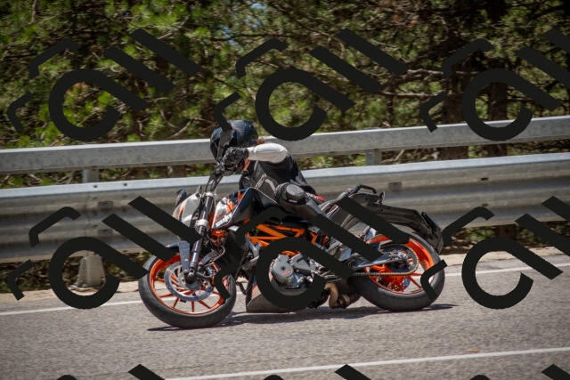 202506281317-DSC_5660_c4_