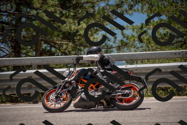 202506281317-DSC_5661_c4_