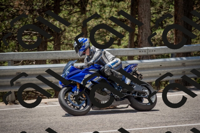 202506281317-DSC_5662_c4_