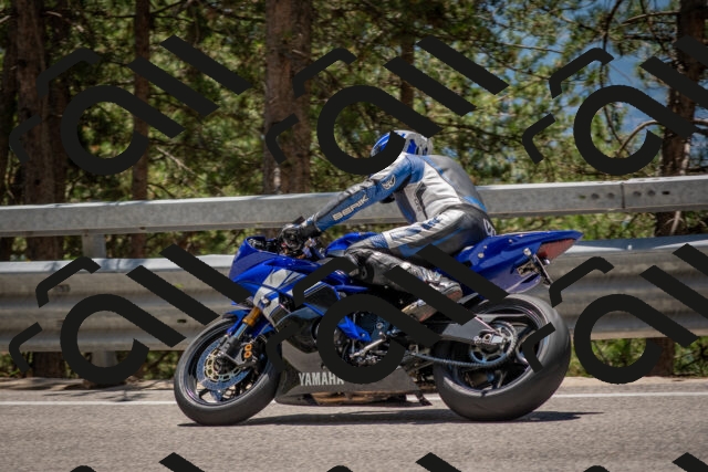 202506281317-DSC_5664_c4_