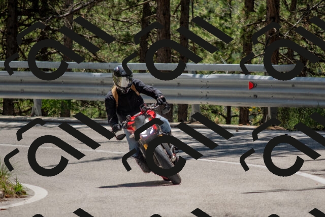 202506281318-DSC_5665_c4_