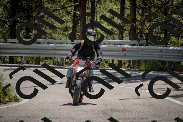 202506281318-DSC_5666_c4_