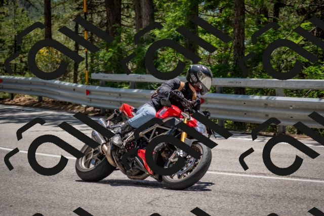 202506281318-DSC_5668_c4_