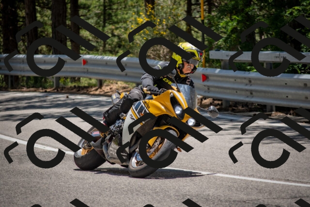 202506281318-DSC_5671_c4_