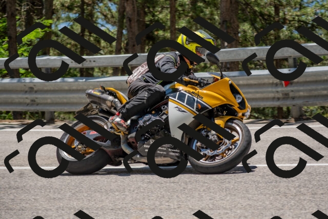 202506281318-DSC_5672_c4_