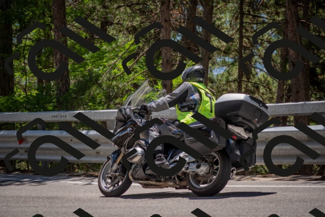 202506281319-DSC_5677_c4_