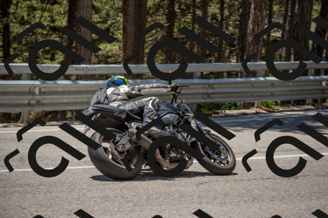 202506281319-DSC_5681_c4_