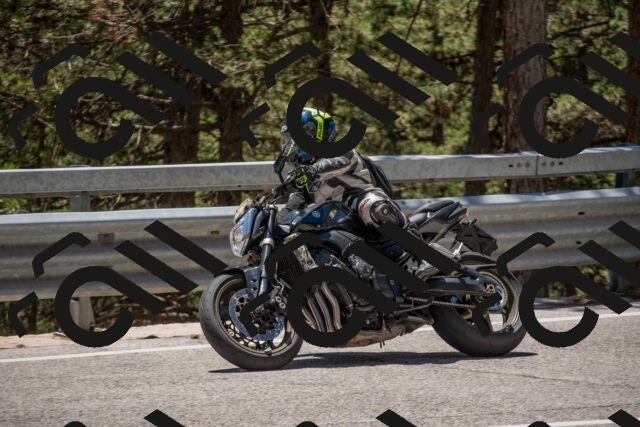 202506281329-DSC_5706_c4_