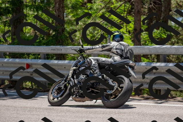 202506281329-DSC_5708_c4_