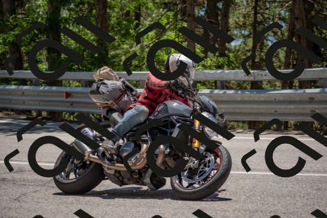 202506281329-DSC_5715_c4_