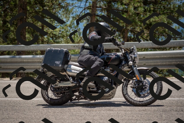 202506281330-DSC_5719_c4_