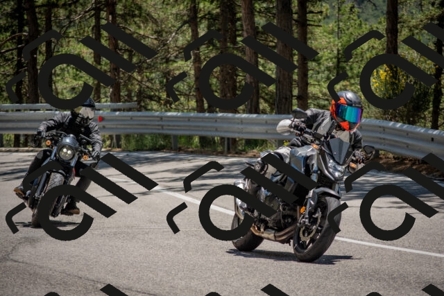 202506281333-DSC_5724_c4_