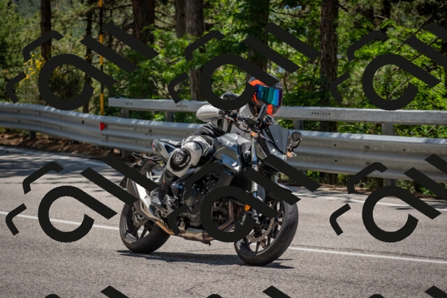 202506281333-DSC_5725_c4_