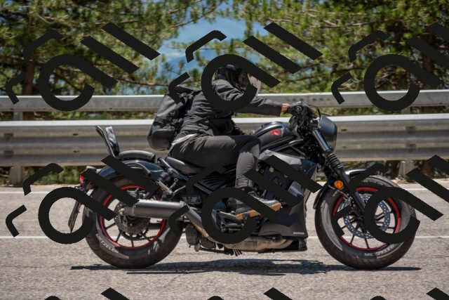 202506281333-DSC_5728_c4_