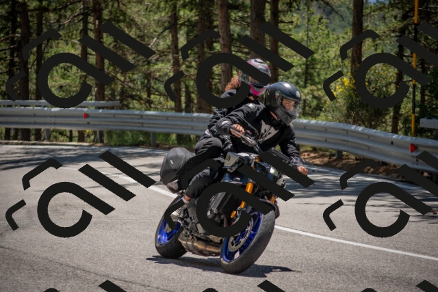 202506281334-DSC_5729_c4_