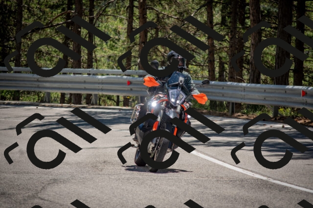 202506281338-DSC_5747_c4_