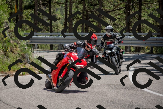 202506281348-DSC_5765_c4_