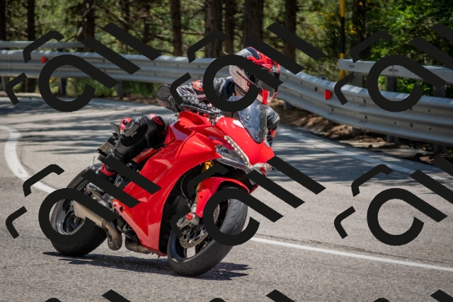 202506281348-DSC_5766_c4_