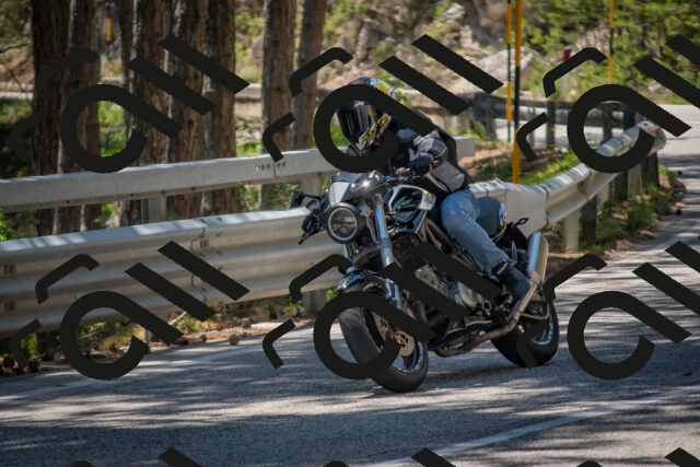 202506281351-DSC_5771_c4_