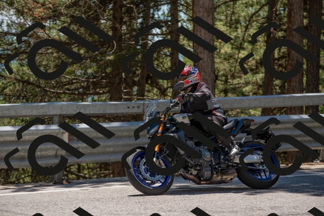 202506281353-DSC_5781_c4_