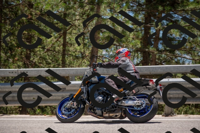 202506281353-DSC_5782_c4_