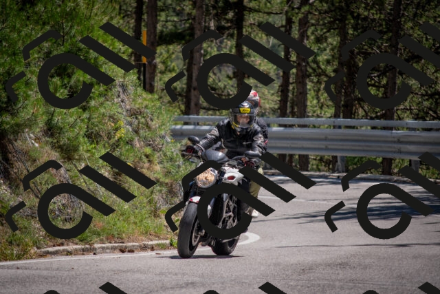 202506281354-DSC_5784_c4_