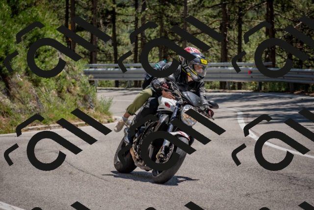 202506281354-DSC_5786_c4_