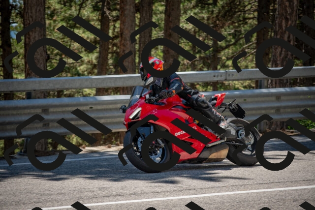 202506281403-DSC_5792_c4_