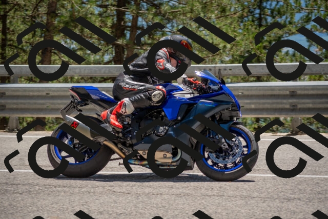 202506281403-DSC_5796_c4_