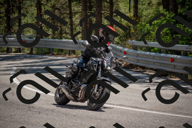 202506281404-DSC_5799_c4_