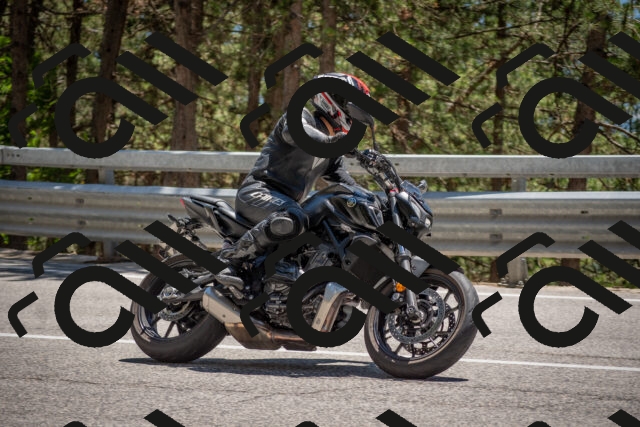 202506281404-DSC_5800_c4_