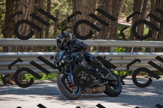 202506281410-DSC_5806_c4_