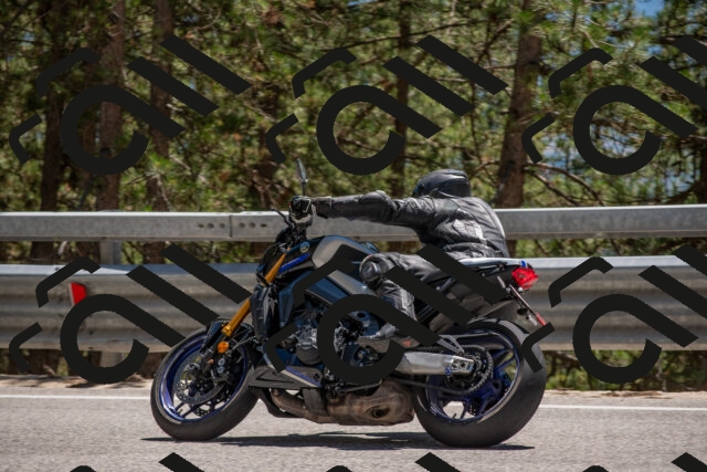 202506281410-DSC_5810_c4_