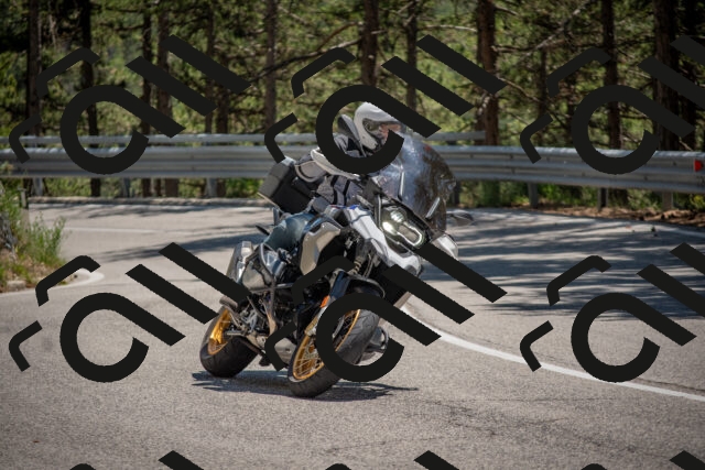 202506281410-DSC_5812_c4_