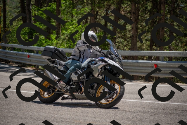 202506281410-DSC_5813_c4_