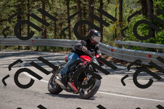 202506281410-DSC_5816_c4_