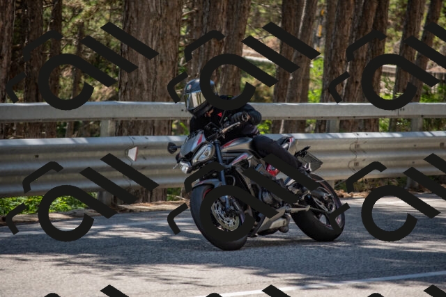 202506281411-DSC_5819_c4_