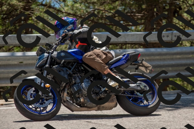 202506281411-DSC_5822_c4_